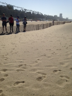 FENCED BEACH PROJ.jpg