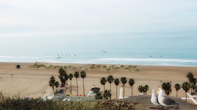 samo_preservation_zone