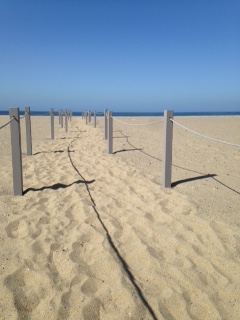 WALKING PATH BEACH REST PROJ