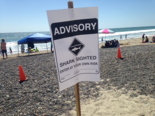 SHARK ADVISORY SIGN